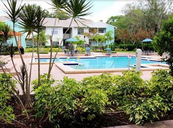 Pool View at Ascent Citrus Park, Tampa, Florida
